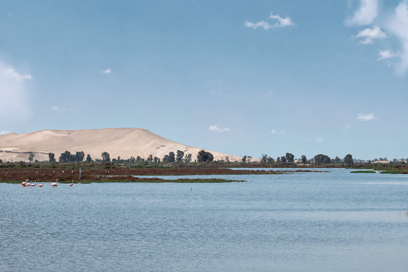 Laguna en casa de campo